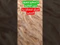 هنا انتهت ت ان ف وس ت ن يد أ ب ين أ غ س ك ـو أ غ ت ـز ز ل أ ن ڨ ا و ل ا أ ي ن ا ت ص ص ير