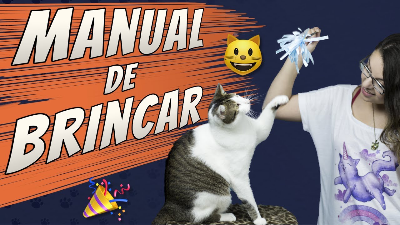 Como brincar com seu gato? Confira os melhores brinquedos - O Fazedor