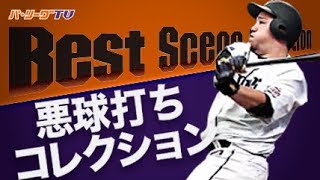 悪球打ちコレクション《Best Scene Selection》