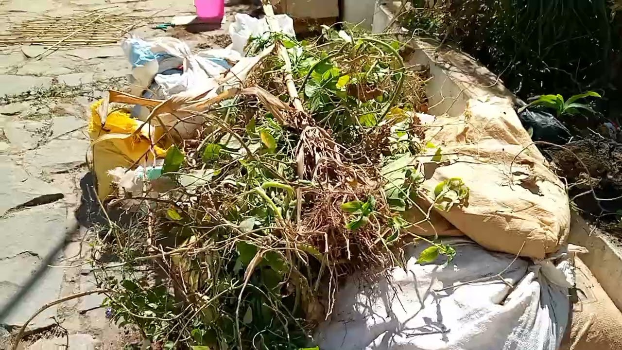 Fambolena amin'ny toerana tery