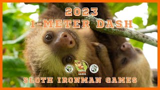 GAME 1: 1Meter Dash | 2023 Sloth Ironman Games