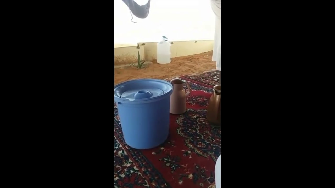 الدجاج في حضائر الاغنام ايجابياته وسلبياته