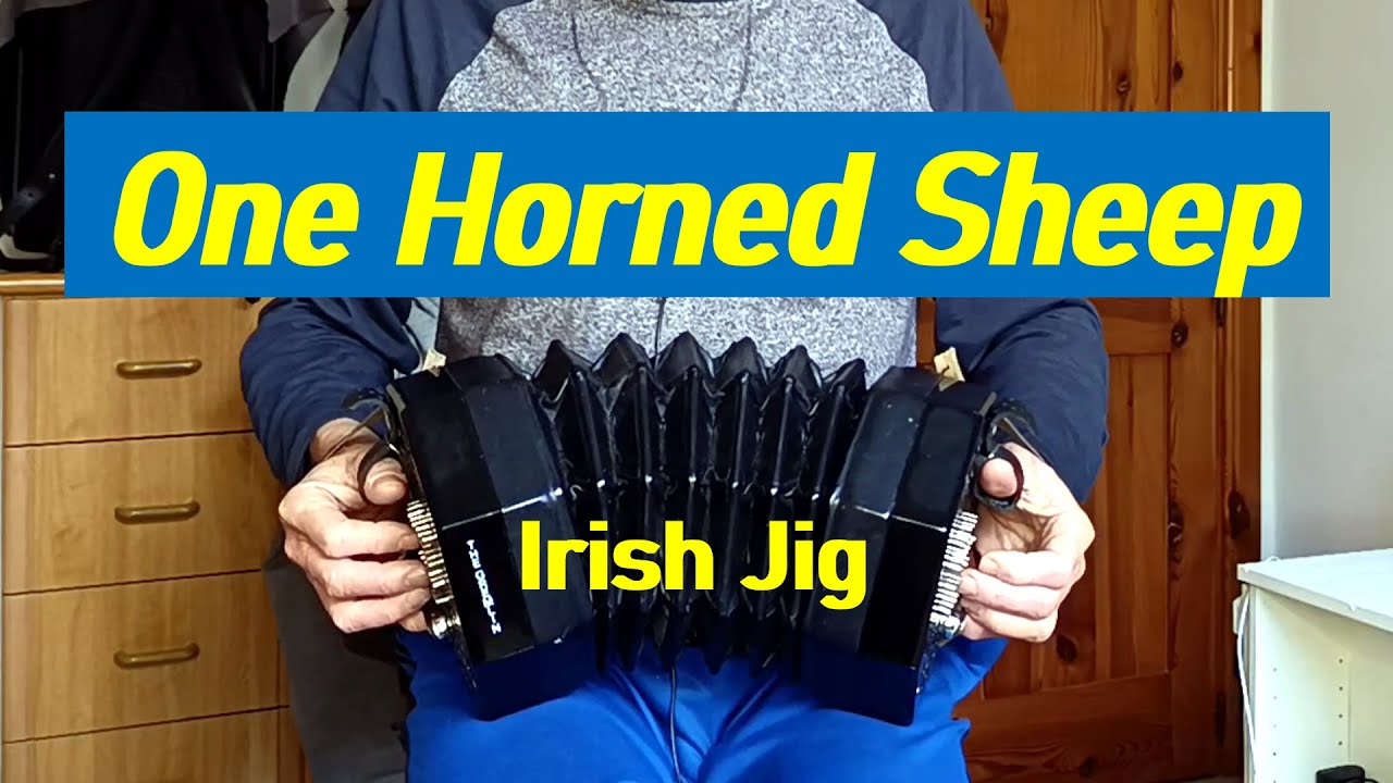 The One Horned Sheep – Irish Jig on Concertina & Guitar