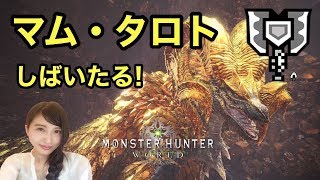 【MHW】モンハンワールド USJコラボイベ&マムタロしばきMONSTER HUNTER【こたば】