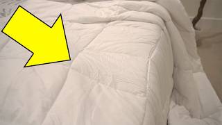 Amazon Basics Down Comforter Review (Link Below 👇)