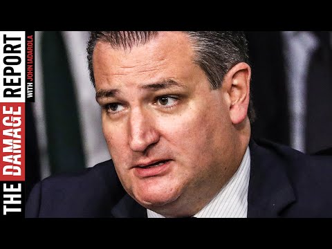 Ted Cruz Admits Republicans Will Get Swept In 2020