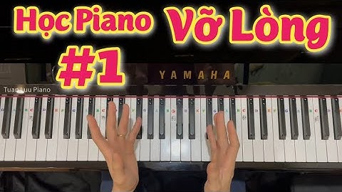 #1 - Bài Học Vỡ Lòng Cho Người Mới Học Đàn Piano - Dễ Học, Dễ Thực Hành, Dễ Hiểu.