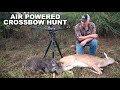 AIR POWERED Crossbow & Rifle Hunt in Texas!