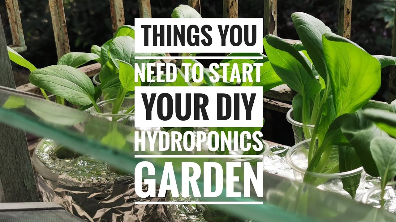 DIY Home Hydroponics Garden What You Need To Start Beginner's Guide ...