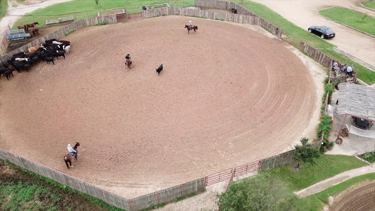 Dufurrena Cutting Horses Ranch Promo YouTube