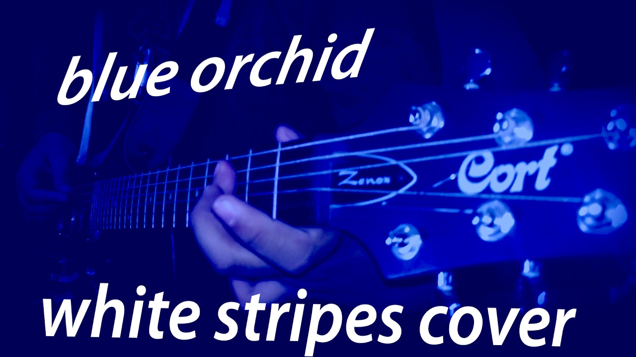 Blue Orchid The White Stripes full cover (HD) YouTube