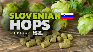 How Slovenian Hops Make Your Beer Better Get Er Brewed