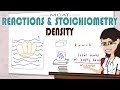 Understanding Density and Its Applications