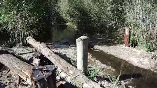 Ten Mile River - in-stream restoration (complete)