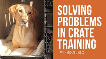 Solving Problems in Crate Training - Michael Ellis