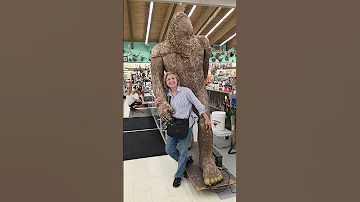 Jai Met Big Foot In Riverton Shorts Wyoming Usa 