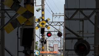 【踏切 電車】なにが通るかな???【ふみきりショート動画266】  #shorts