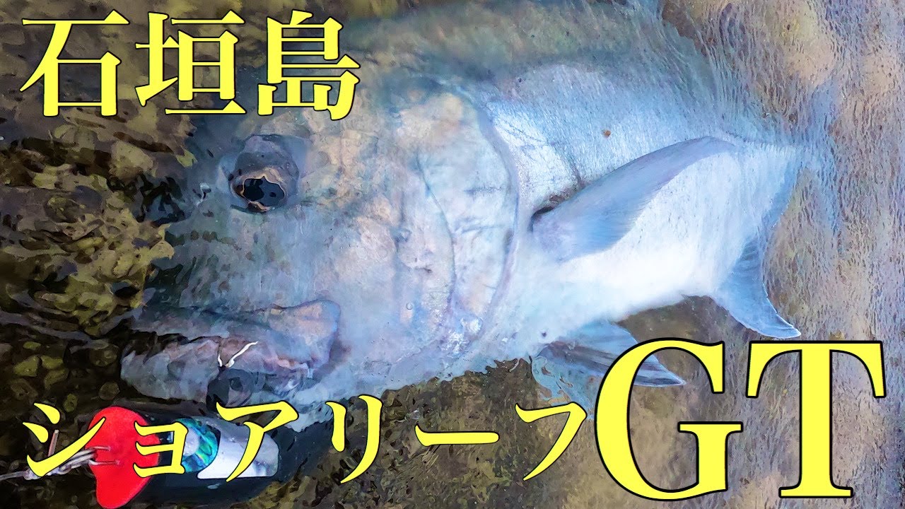 石垣島のリーフでgtfishing ショアgt 沖縄gt Shore Gt Popping Youtube