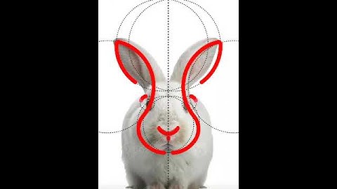 Concept Logo Design Using golden ratio