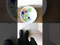 花のある暮らし🪻🍃 #花のある生活 #日々の暮らしと犬と #暮らしのvlog