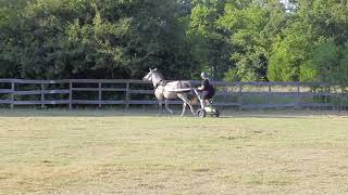 Saddlechariot Day 1