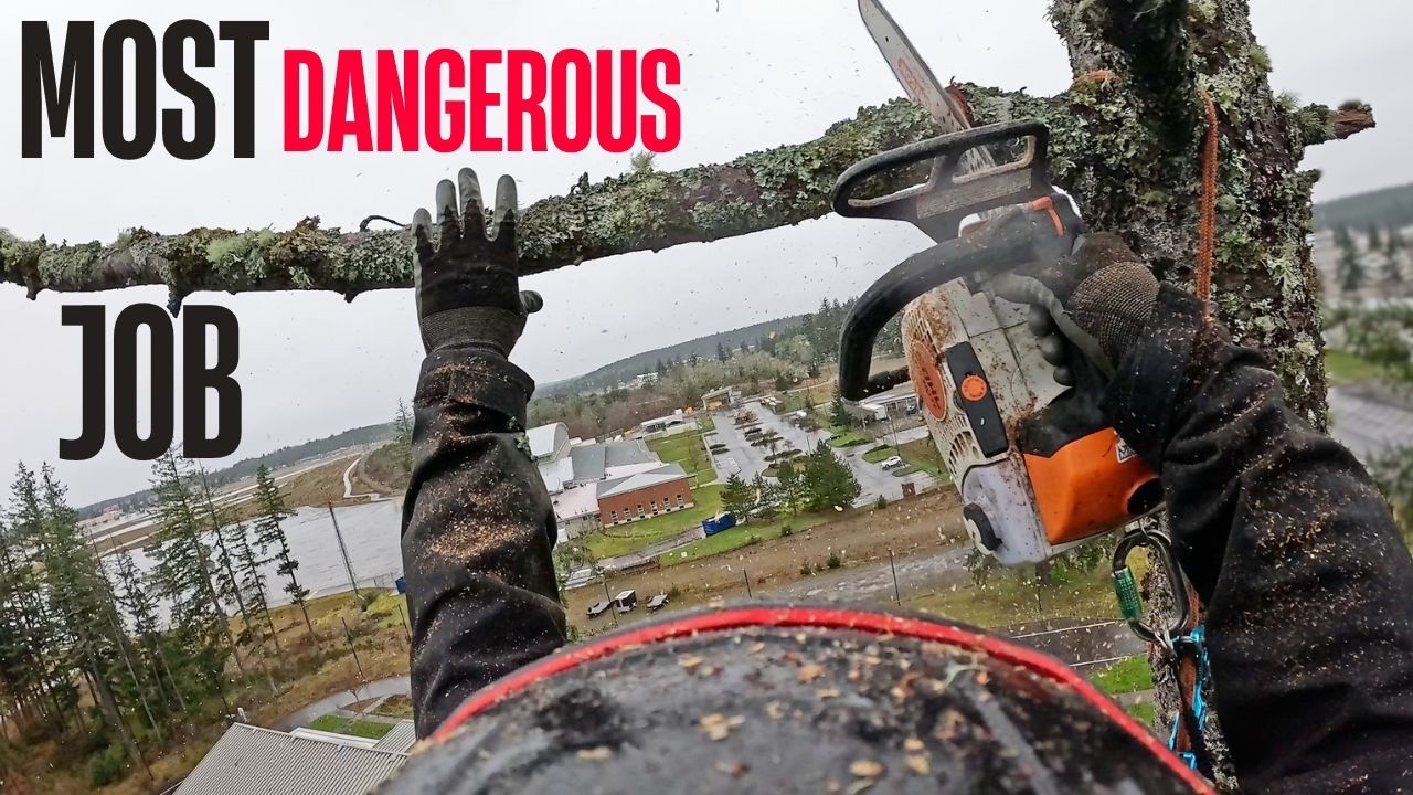 If This Looks Dangerous, That's Because It Is.