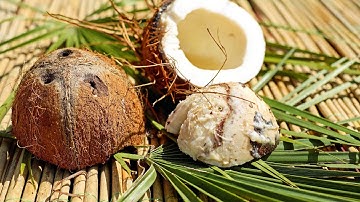 LIFE HACK - SECRET WAY TO REMOVE COCONUT MEAT FROM SHELL