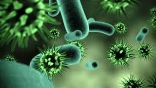 Viruses Documentary 2017 - American's Worst Virus