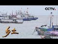 《乡土》品味中国 浙江篇 20180710 | CCTV农业