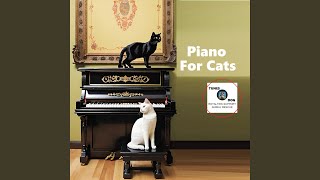 Sonata for Soft Paws