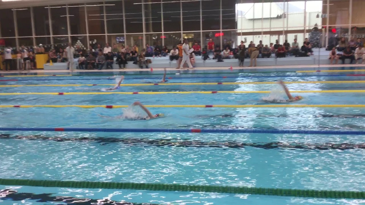 Albion swimming videos YouTube