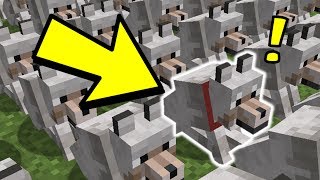 Qui Est Le Vrai Leas ? Cache Cache Prank Minecraft