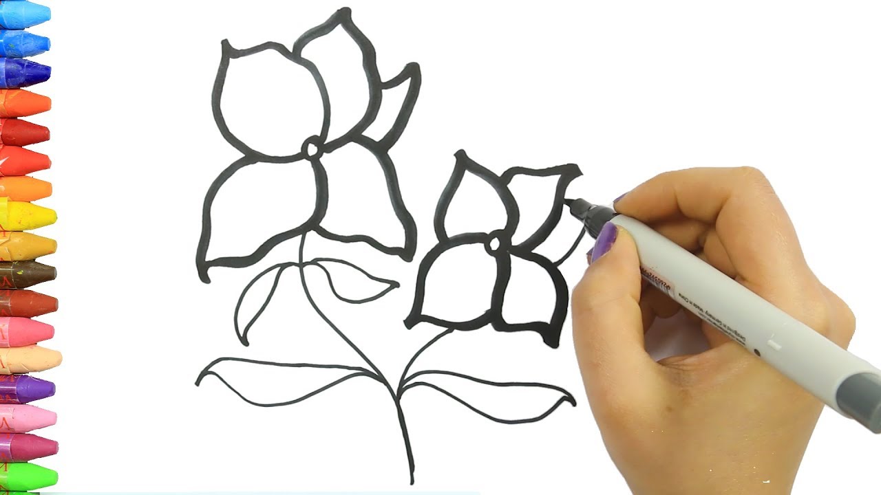 Wie zeichnet man Bunter Blumen | Zeichnen und Ausmalen für Kinder - YouTube