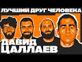 ЦАЛЛАЕВ ДАВИД - &quot;ПОДКАСТЫ ОТСТОЙ&quot; х ЛДЧ