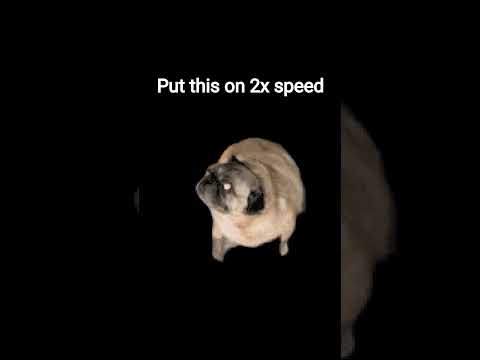 it's better in 2 x speed