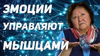 У каждой эмоции есть свой набор мышц