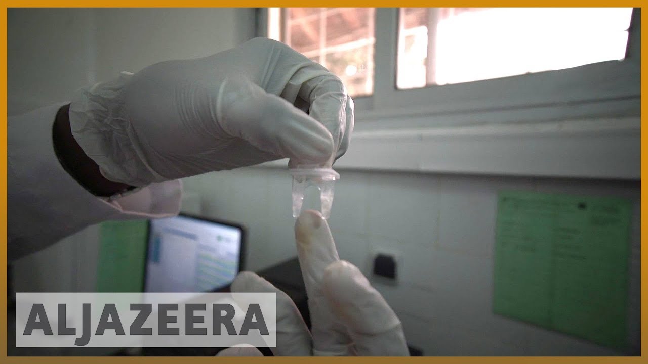 🇸🇳 تقنية جديدة تُقلل من حالات الملاريا في السنغال | الجزيرة الإنجليزية