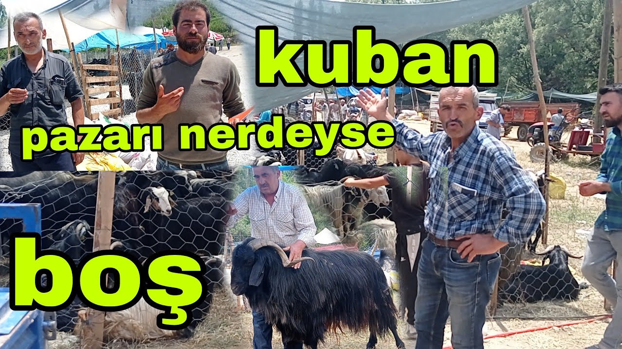 KONYA BOZKIR KÜÇÜK VE BÜYÜK BAŞ KURBAN PAZARI