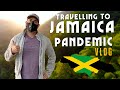 Travelling to Jamaica during Pandemic! Toronto to Kingston to @Ras Kitchen