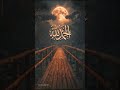 Muhammad nabinaa #Tiktok#youtubeshorts#islamicsatuts#shortvideo#shorts#phalastine