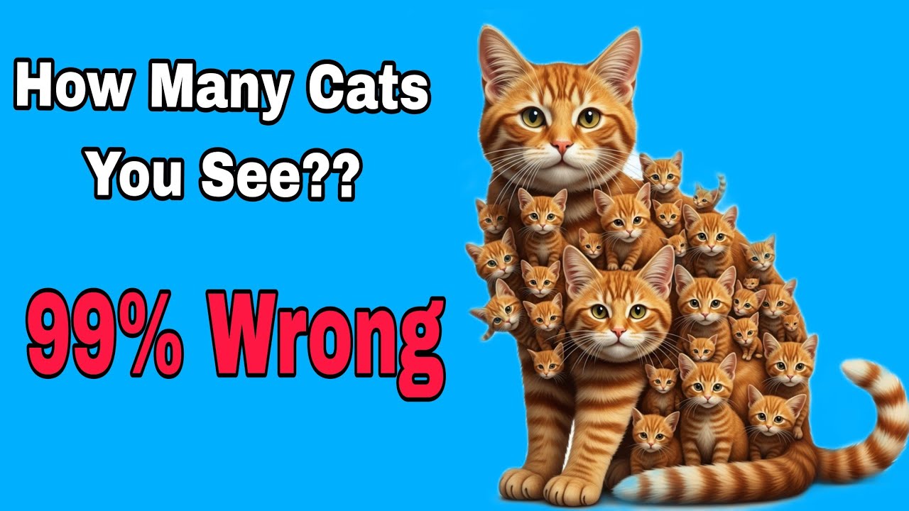 🔴IQ Test 🧠 99% Fail 🤯 How Many Cats You See??  I See 20 And You??🤷🏻‍♂️ Best Of Luck 👍🏻😎