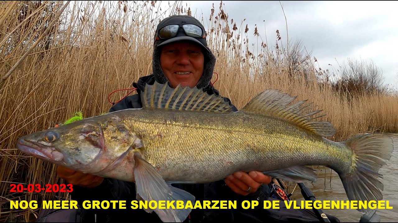 20 03 2023 GROTE SNOEKBAARZEN OP DE VLIEGENHENGEL, SPELLETJE - YouTube