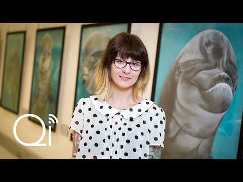 Gallery QI | Speculative Dolphin Theatre, Lisa Korpos