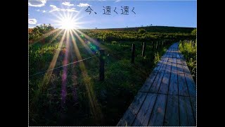 あなたにこの歌は聞こえますか？/重音テト【ボカロオリジナル曲】
