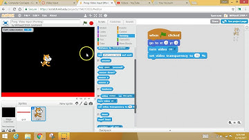 Scratch: Video Input 1 (sensing blocks)