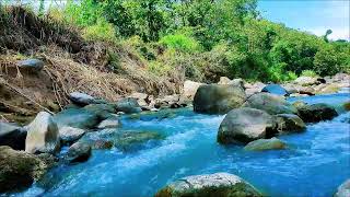 Calming River Flow 🌿 Relaxing Nature Sounds for Sleep, Meditation &amp; Peaceful Mind