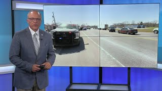 Dogs Owned By Couple Killed In Avoca Motorcycle Crash In Need Of New Home