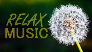 Soothing Music for Relaxation, Meditation Music for Focus, Study Music for Concentration