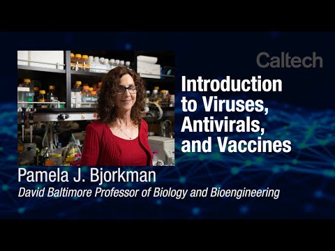 Video: Doctors DO NOT HIDE the truth about VACCINES - scientific publications about antibody-dependent intensification of infection