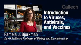 Pamela bjorkman, the david baltimore professor of biology and
bioengineering, specializes in studying how immune system reacts to
viruses. this webina...